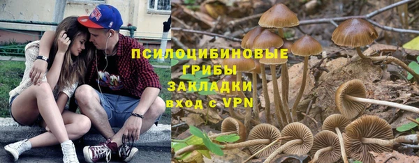 дмт Карпинск