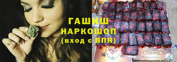 дмт Карпинск