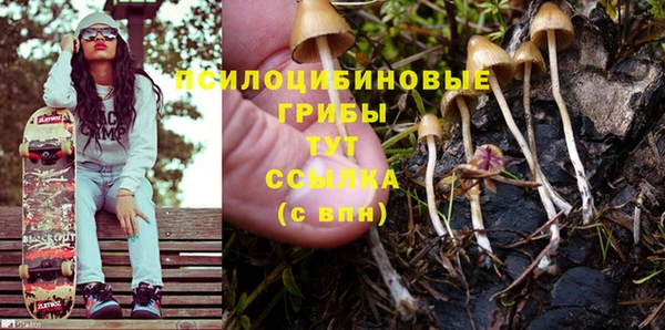 дмт Карпинск