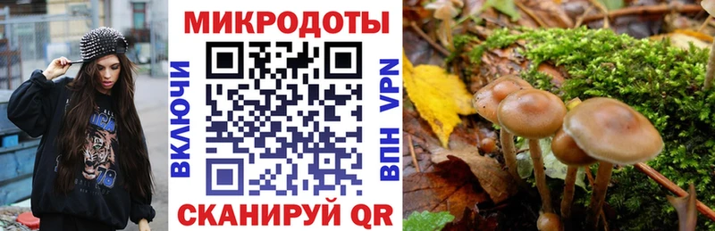 Псилоцибиновые грибы прущие грибы  mega маркетплейс  Ртищево  закладка 