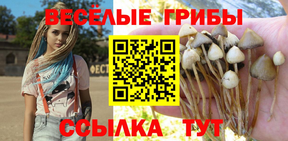 закладка  Вход с VPN  Ртищево  Галлюциногенные грибы Psilocybine cubensis 